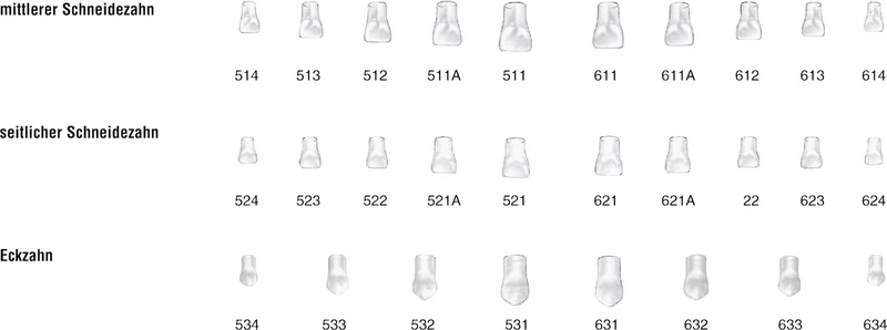 Strip-Kronen Kinder Klar  Packung  5 Stück Nr. 521