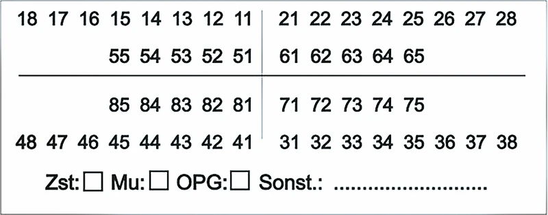 Zahnschema ZDL  Stück  Printy Stempelautomat grün