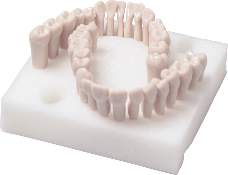 Modellzähne  Packung  32 Stück OK\UK