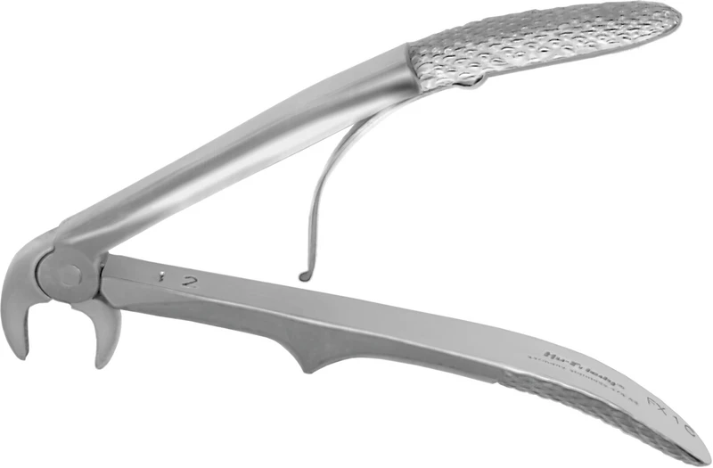 Zahnzangen Kinder  Stück  FX1CE, untere Schneidezähne