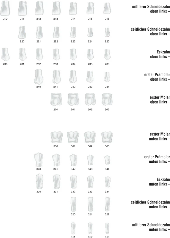 Strip-Kronen Klar  Packung  5 Stück Nr. 112