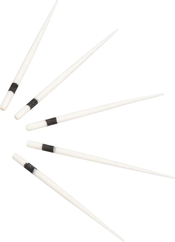 roeko Papier-Spitzen Greater Taper  Packung  100 Stück Taper.06 ISO 040