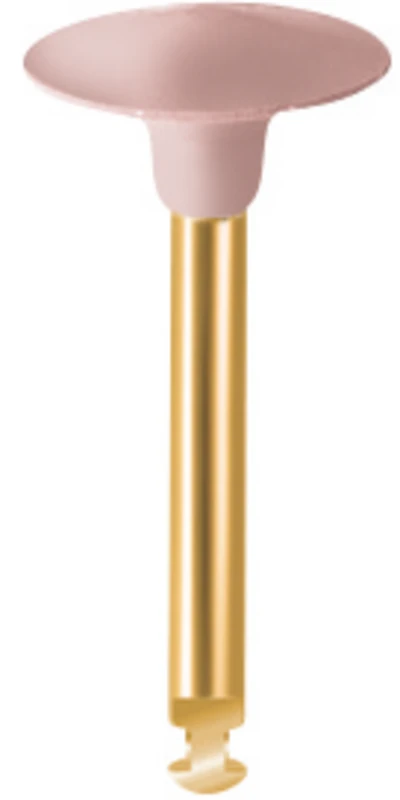 EVE DIACOMP® PLUS  Packung  10 Stück rosa mittel, RA, Figur Linse, 10 x 2,5 mm