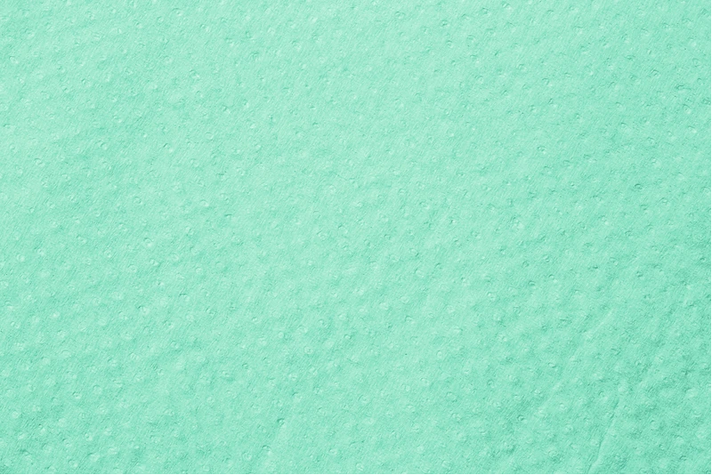 TOP COVER Kopfstützenschoner Tissue  Karton  500 Stück grün, 25 x 33 cm