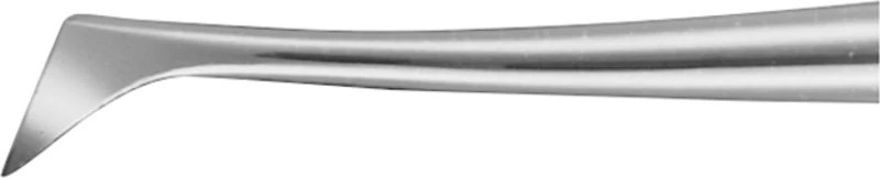 Wurzelheber nach Winter  Stück  DL410R, rechts