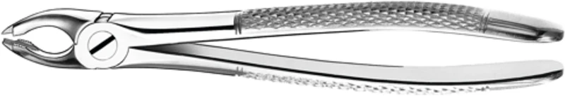 Zahnzangen  Stück  M115, OK für Schneidezähne, Eckzähne