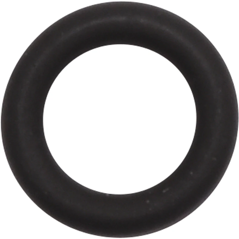 AIR-FLOW® Prophylaxis Master Dichtring  Stück  schwarz