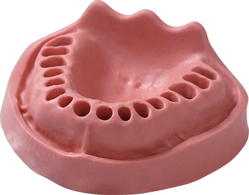 Modelle Gingiva  Stück  OK VZ