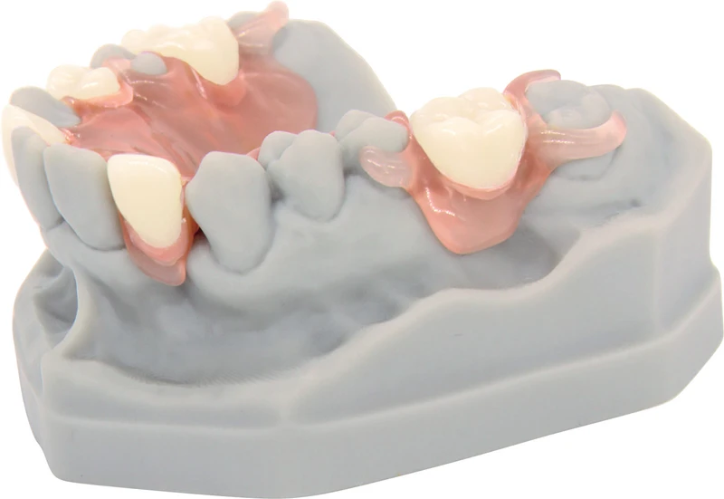 dentona vivapink   Set  150 g Pulver, 110 ml Liquid