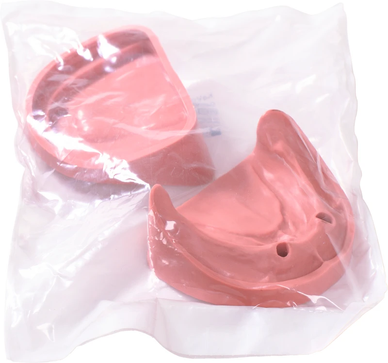 Modelle Gingiva  Stück  UK TZ 2N