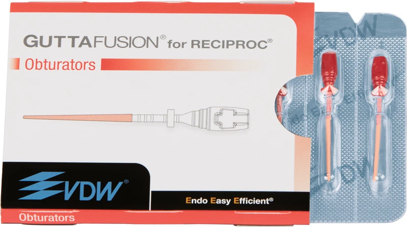 GUTTAFUSION® for RECIPROC®  Packung  6 Stück R25