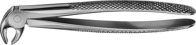 Anatomica-Zahnzangen  Stück  DG413R, für untere Eckzähne und Prämolaren