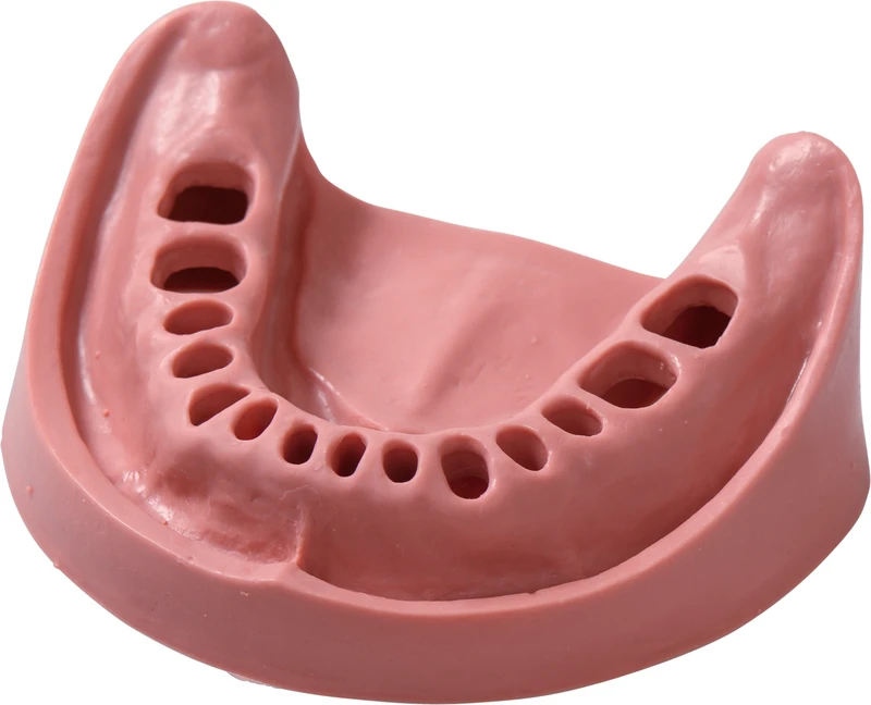 Modelle Gingiva  Stück  UK TZ 14