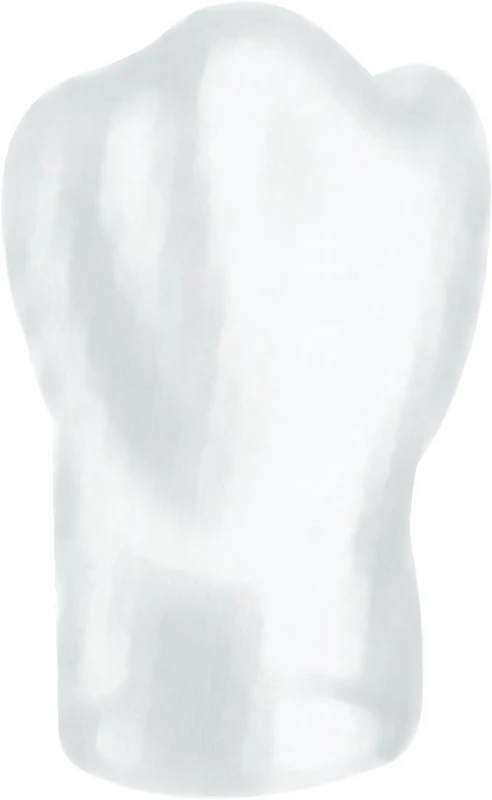 Strip-Kronen Color  Packung  5 Stück Nr. 443