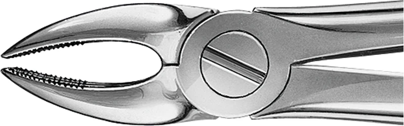 Anatomica-Zahnzangen nach Büchs  Stück  DH702R, für obere Schneide und Eckzähne