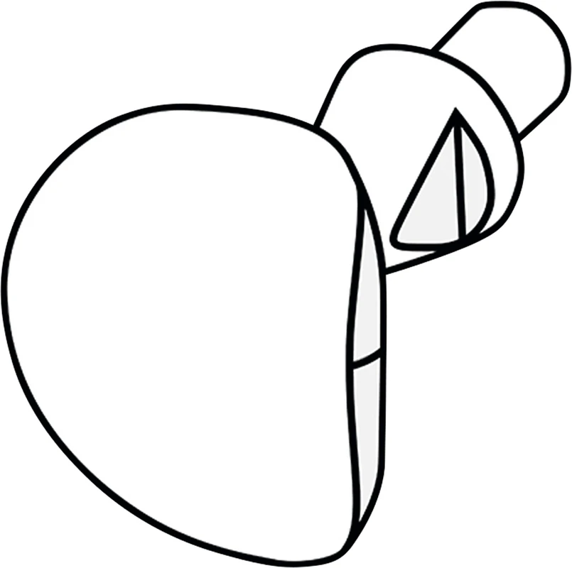 LM Cervical Matrizen  Packung  60 Matrizen, Zwischenzähne und Prämolaren