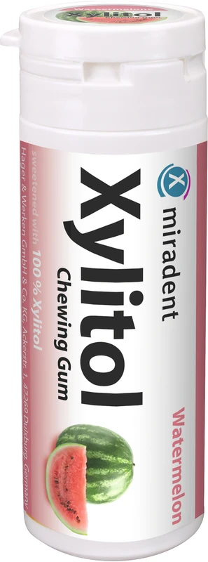 Xylitol Chewing Gum  Dose  30 Stück Melone