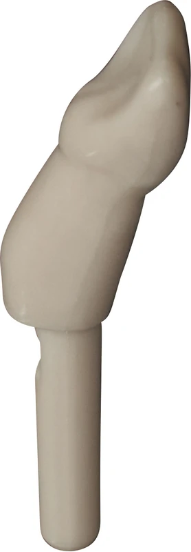 Schnappzahn Modell Schneidezahn  Packung  100 Stück Nr. 11
