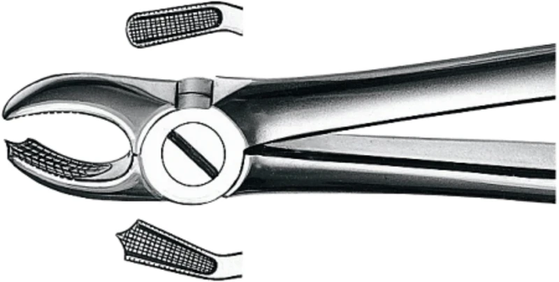 Zahnzangen nach Büchs  Stück  M2018, OK für Molaren links