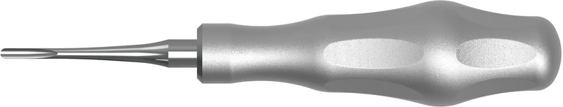 Luxationsinsinstrument BEIN LS-Passion  Stück  3 mm, gerade