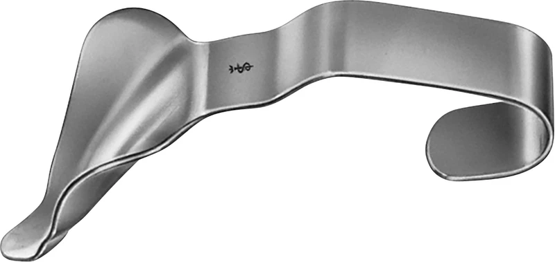 Wangenhaken nach Laster  Stück  DO472R, 100 mm, einendig