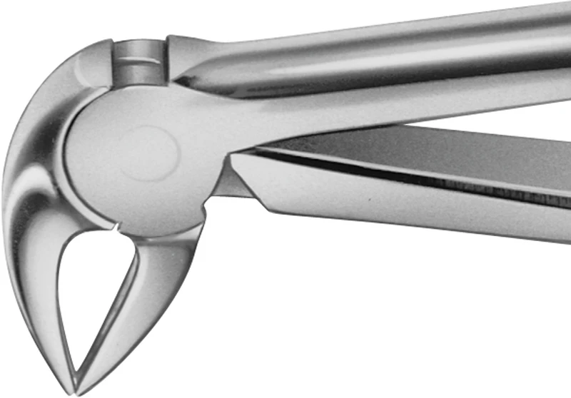 Anatomica-Zahnzangen  Stück  DG733R, für untere Schneidezähne, Prämolaren und Wurzeln