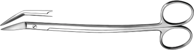 Zahnfleischschere nach Dean  Stück  857, 170 mm, gebogen