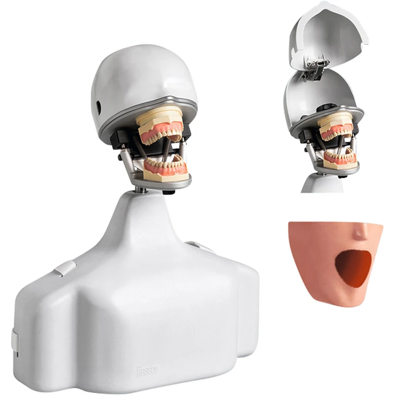 Phantomkopf PK-2 TSE OM  Stück  Phantomkopf mit Torso