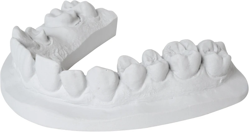 dentona No 1   Packung  2 x 2,5 kg delphin