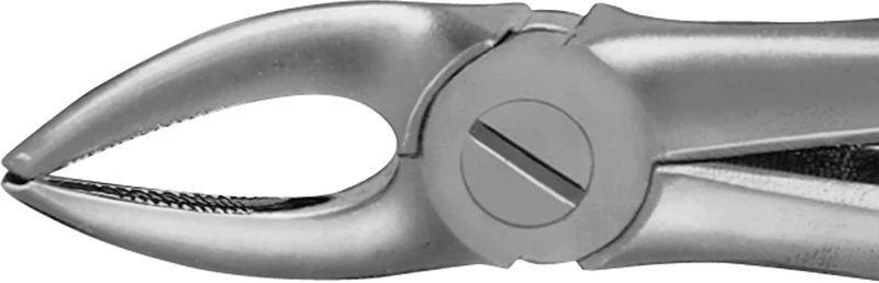 Anatomica-Zahnzangen nach Büchs  Stück  DH736R, für obere Prämolaren