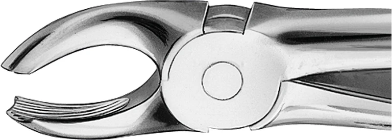 Anatomica-Zahnzangen  Stück  DG117R, für obere Molaren, rechts