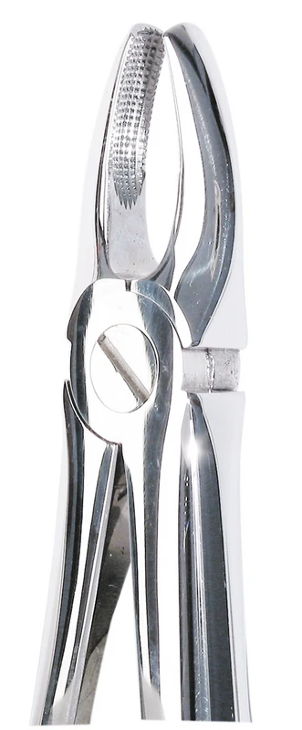 Zahnzangen  Stück  OK Frontzahn 1