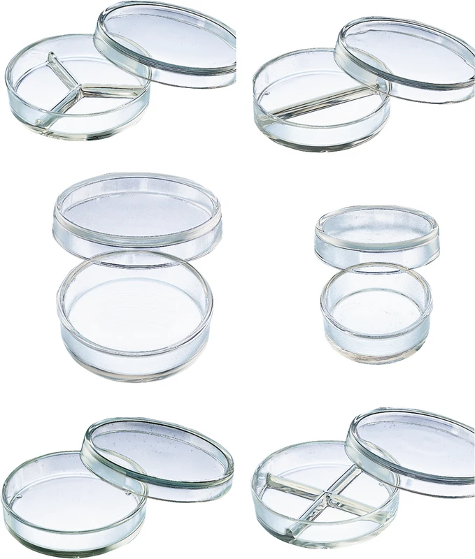 Petrischalen  Stück  dreigeteilt, Ø 100 mm, ca. 23 mm hoch