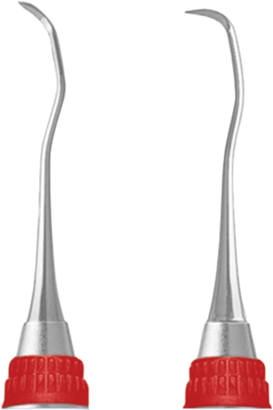 Scaler  Stück  S204SD76, Griff 7, anterior