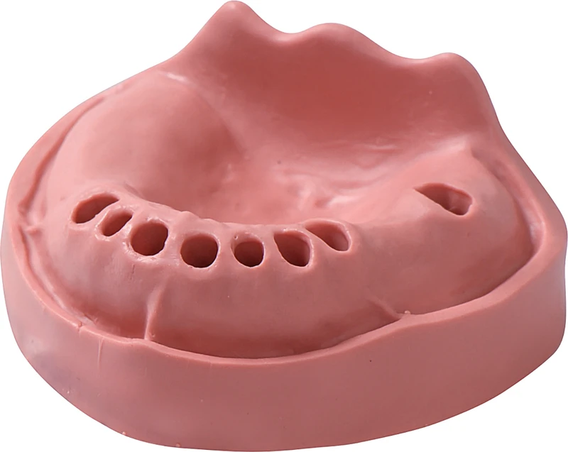 Modelle Gingiva  Stück  OK TZ 8