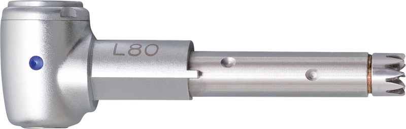 INTRA Kopf L80  Stück