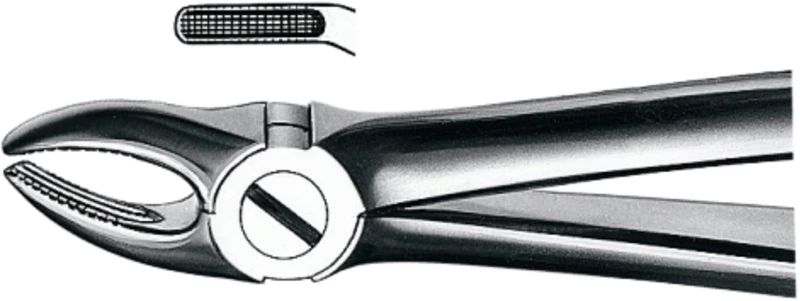 Zahnzangen nach Büchs  Stück  M2007, OK für Prämolaren