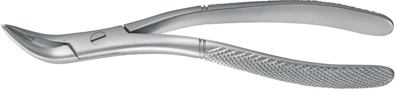 Wurzelzange nach Witzel  Stück  universal