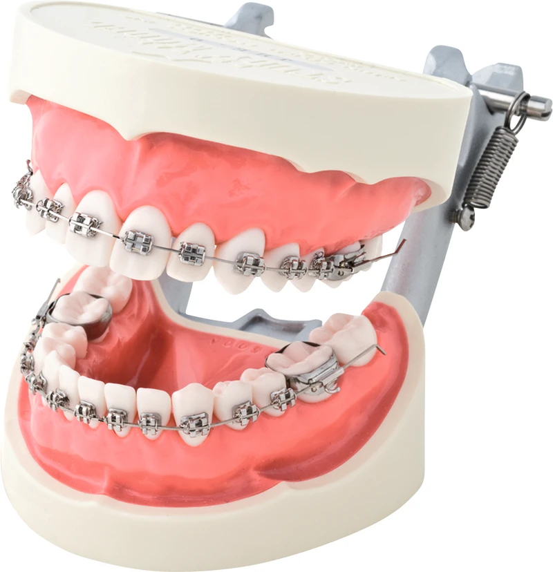 Brackets- Demonstrationsmodell D50D-JME9  Stück