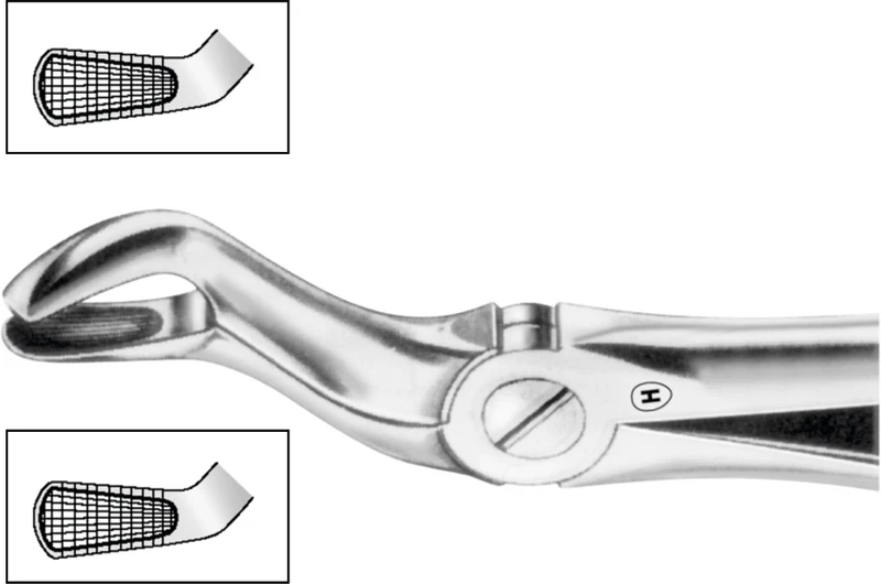 Zahnzangen  Stück  HSA 559-67, Figur 67A, für obere Weisheitszähne, beide Seiten