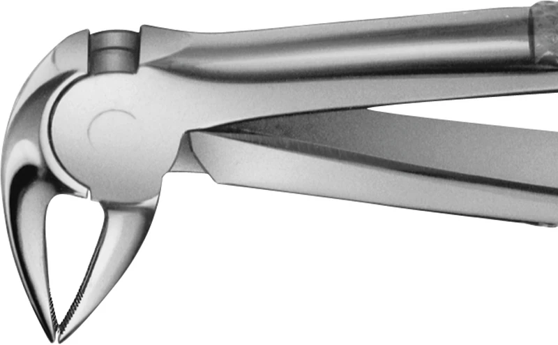 Anatomica-Zahnzangen  Stück  DG732R, für untere Wurzeln, mit schmalem Maul