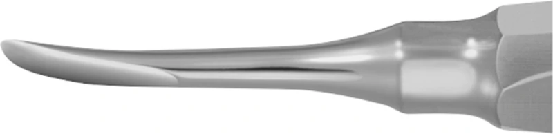 Wurzelheber  Stück  DL371R, 150 mm, 2,5 mm, gebogen