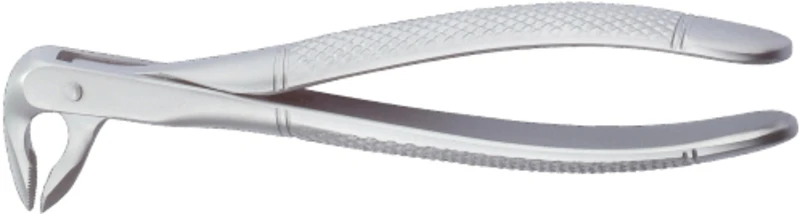 Zahnzangen  Stück  77, UK für Schneidezähne, Eckzähne, Prämolaren