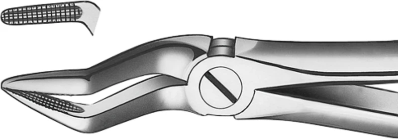 Zahnzangen nach Büchs  Stück  M2051, OK für Wurzeln