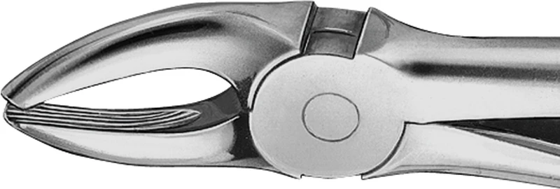 Anatomica-Zahnzangen  Stück  DG107R, für obere Prämolaren