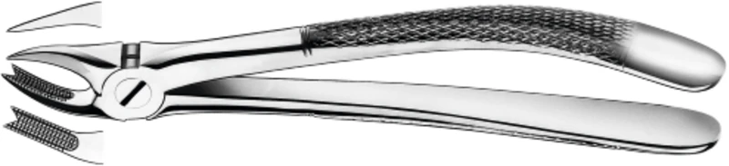 Zahnzangen  Stück  89, OK für Molaren rechts