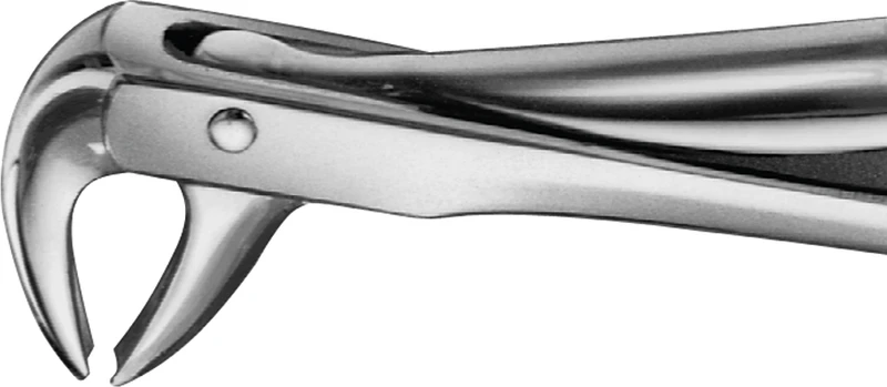 Anatomica-Zahnzangen  Stück  DG440R, für untere Eckzähne und Prämolaren