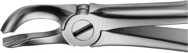 Anatomica-Zahnzangen  Stück  DG659R, für untere Weisheitszähne