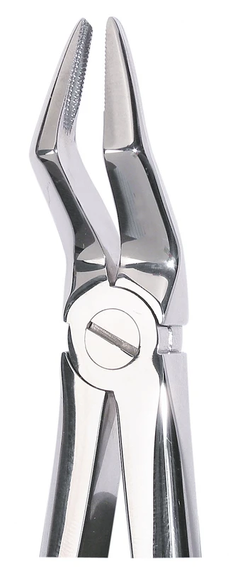 Zahnzangen  Stück  OK Wurzel 51