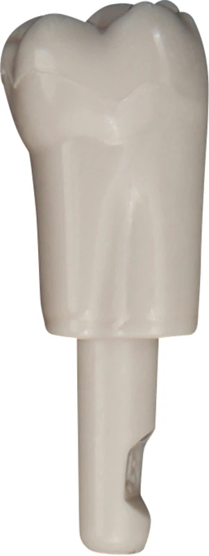 Schnappzahn Modell Molar  Packung  10 Stück Nr. 46